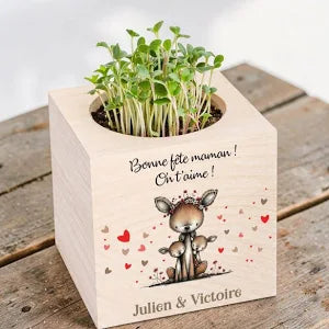 Cadeaux.com Ecocube personnalisé - Maman