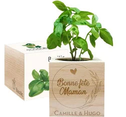 EcoCube gravé pour Maman
