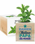 Ecocube personnalisé en couleur Fête des Pères