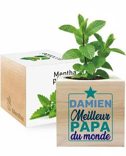 Ecocube personnalisé en couleur Fête des Pères