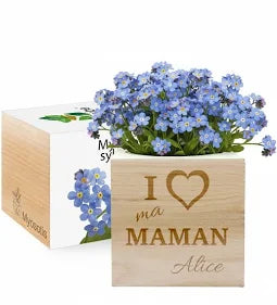 EcoCube personnalisé Maman | Amikado