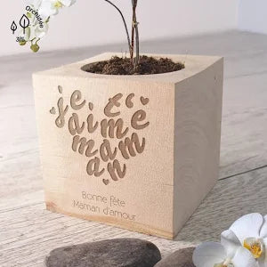 Ecocube Je t'aime Maman à Personnaliser Bleuet Bio - Ecocube Personnalisé